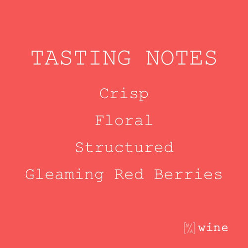 Copenhagen Non-Alcoholic Sparkling Tea LYSERØD | Hibiscus | Oolong | Silver Needle | Rosé Proxy